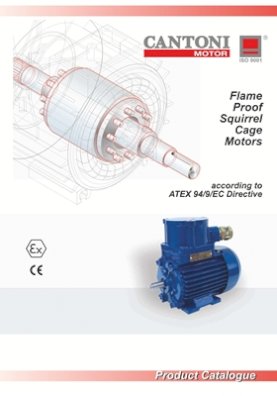 4454_flame_proof_for_chemical_catalogue_en.pdf