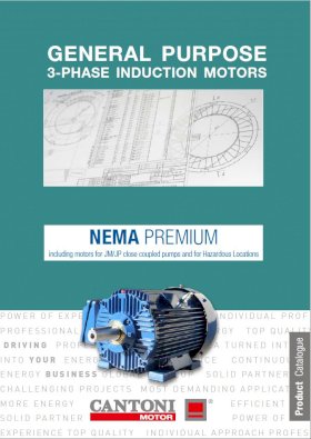 7346_nema_catalogue_ie3_2024.pdf